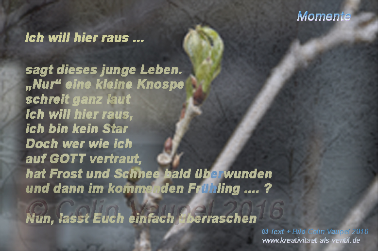 PK-Der Mond hat wieder einmal abgenommen